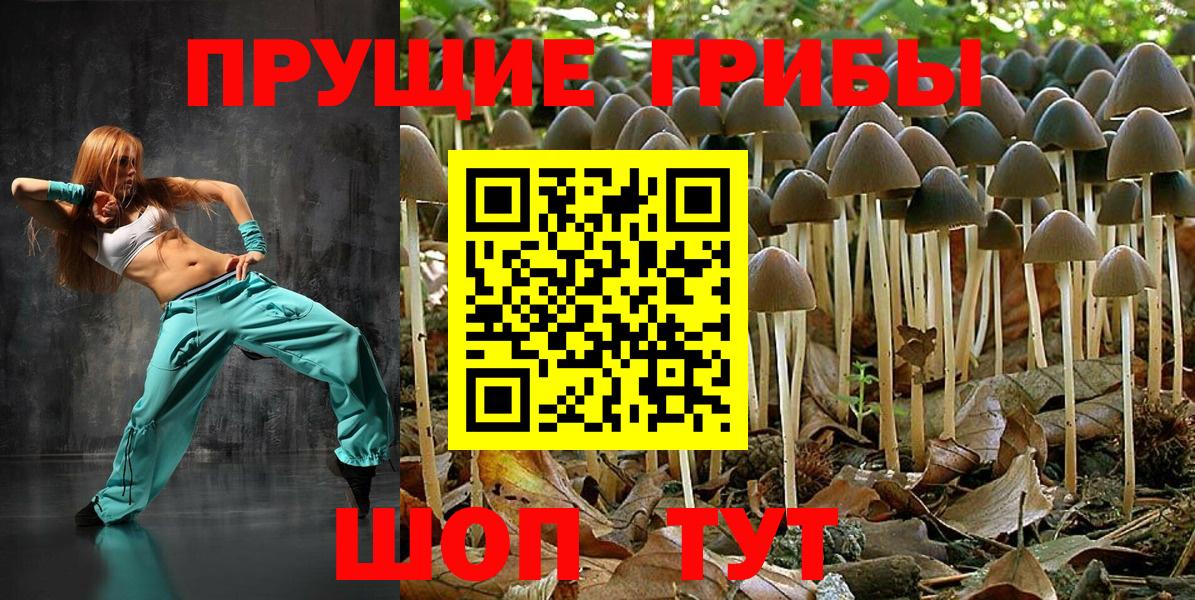Псилоцибиновые грибы Cubensis Якутск