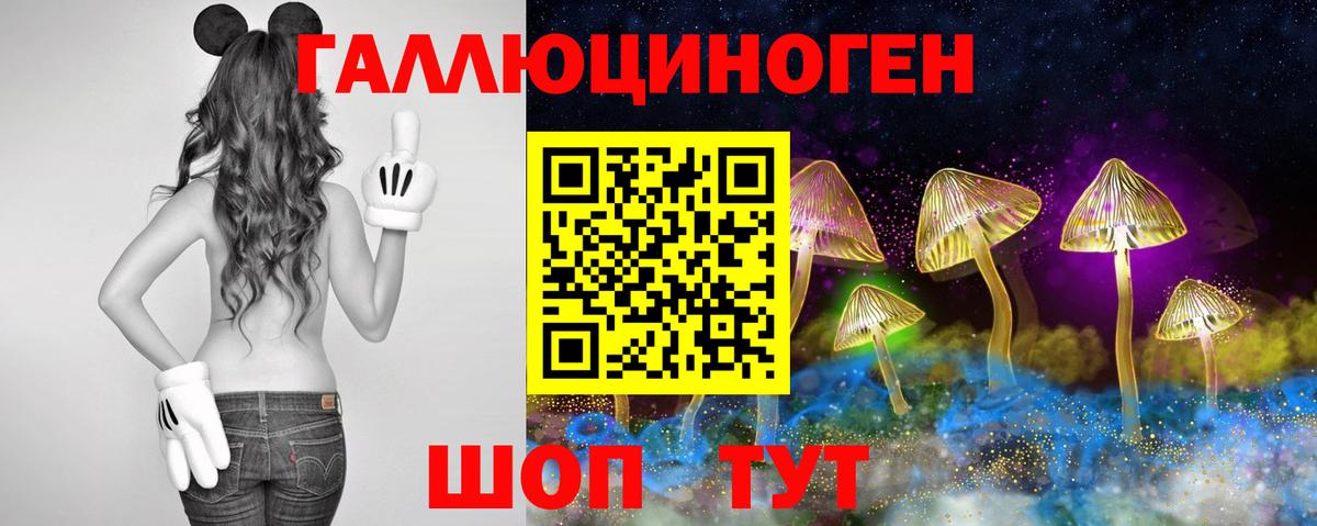 Псилоцибиновые грибы мицелий  Вход с VPN  Якутск 
